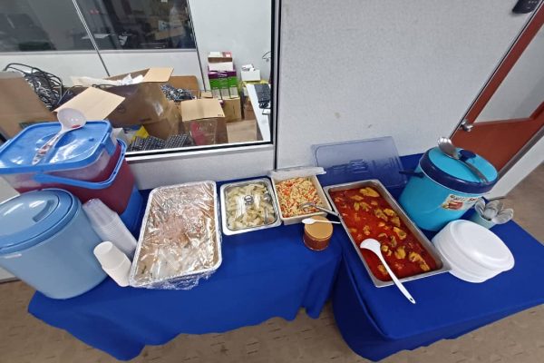 Electrical-Wiring-System-Training-2024_DpstarGroup-4