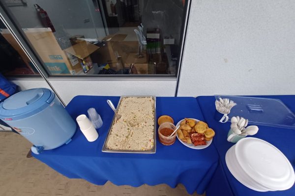 Electrical-Wiring-System-Training-2024_DpstarGroup-7